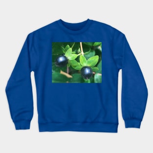 Teeny Tiny Berries Crewneck Sweatshirt